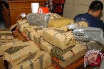 Tiga Pengedar Ganja Diringkus di Tempat Pencucian Motor
