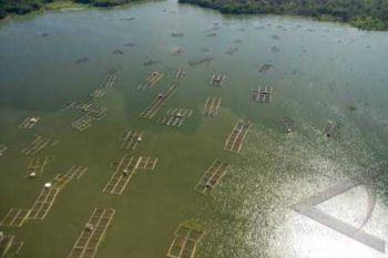 Sedimentasi Waduk Cengklik 8,5 Juta Meter Kubik