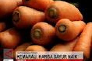 Pasokan Turun Drastis, Harga Sayuran Melonjak 
