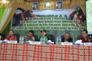 Relokasi Orangutan
