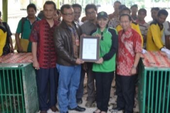 Relokasi Orangutan