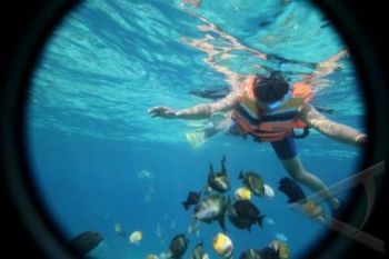 SNORKELING GILI TRAWANGAN