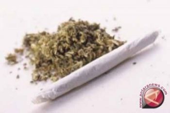 Dua Wanita Selundupkan Ganja ke LP Nusakambangan