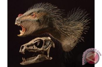 Dinosaurus Seukuran Kucing Ditemukan di Afrika