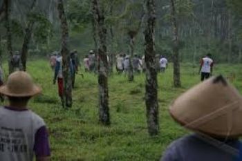 "Petani Diintimidasi Mandor PTPN Perkebunan Nusantara IX"