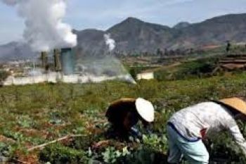Pemda Diminta Pikirkan Energi Daerah
