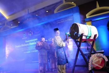 DMDI punya peran memajukan bangsa melayu 
