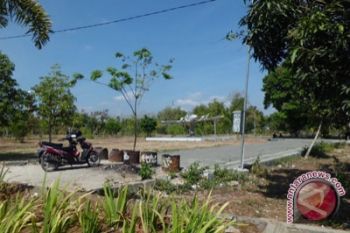 Pakar: penataan tanaman harus pertimbangkan fungsi 