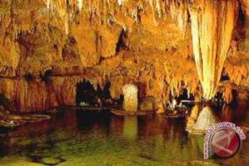 Pemda dinilai belum kelola geopark dengan baik 