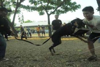 Polda Sulsel siagakan anjing endus peredaran narkoba 