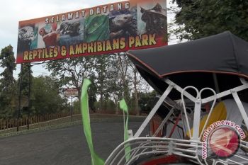Gl zoo persiapkan atraksi satwa sambut HUT RI