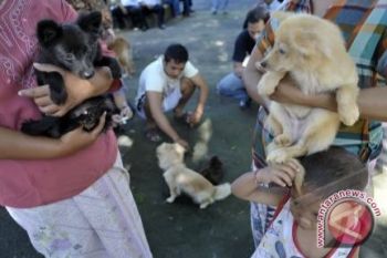 Pemkot gencar sosialisasi cegah rabies