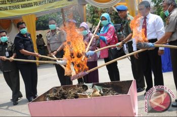 Jaringan dan pemakai narkoba kian menggurita