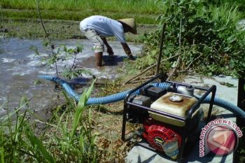 Bantul usulkan bantuan pompa air petani ikan