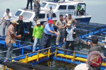 Gubernur Kunjungi Keramba Apung Bontang 