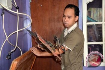 Wayang Palembang masih bertahan