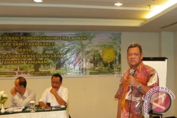 Dirjen Perkebunan data ulang areal karet