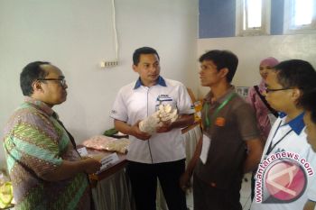 PNM Bina UMK Di Lampung 
