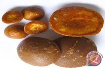 Mahasiswa UGM kembangkan gula kelapa organik 