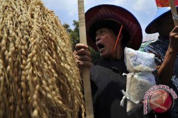 FA UGM canangkan Gerakan Kedaulatan Pangan