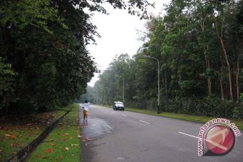 Kemenhut targetkan 1.000 hektare lahan hutan kota 