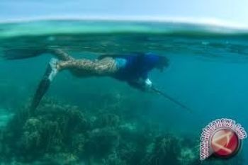 Karimunjawa Banyak Diminati "Buyers" BTMX 2012