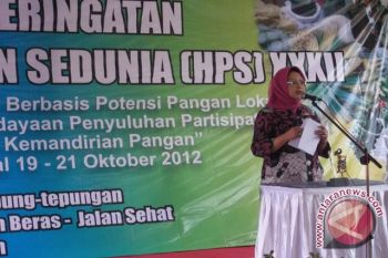 Pemerintah pusat bangun pabrik sorgum di Bantul