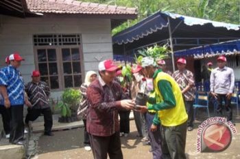 Dispertan canangkan gerakan "pengkayaan dan intenfisikasi cengkih"