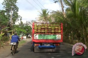 Hiswana DIY tingkatkan pengawasan distribusi elpiji bersubsidi