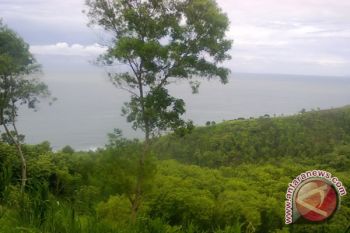 Cilacap kembangkan Pantai Jetis sebagai agrowisata 