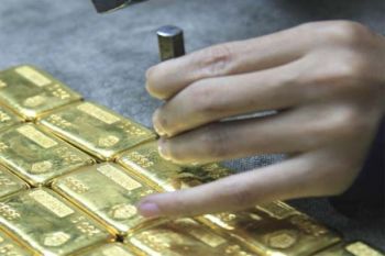 Padang Miliki Potensi Tambang Logam Mulia