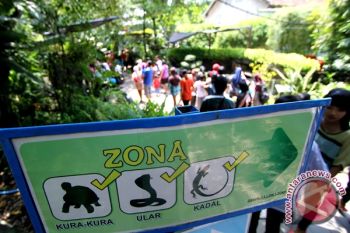 20.000 wisatawan padati Gembira Loka Zoo 