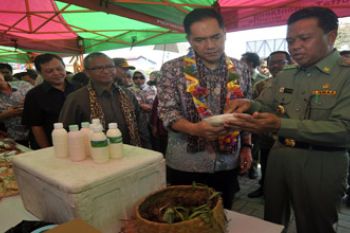 PASAR PERCONTOHAN