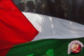 Menlu Belgia "Dukung" Gagasan Akui Negara Palestina