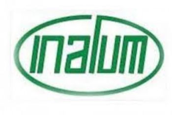 Pemerintah akan Bentuk BUMN Khusus Kelola Inalum