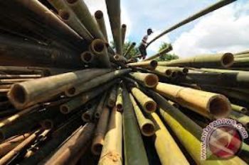 Produk Bambu Butuh Perhatian Pemerintah