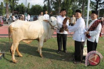 Khotib: berkurban tumbuhkan rasa cinta dan kejujuran