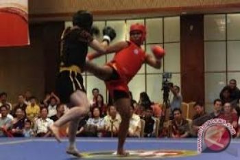 Pelatih wushu Jambi tangani Pelatnas SEA Games