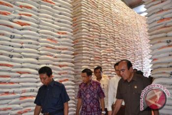 Siswono: Bulog Sebaiknya Beli Beras Petani Setempat
