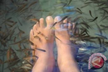 Dokter Kandungan Tewas di Kolam Ikan