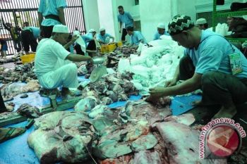 Pembagian daging kurban