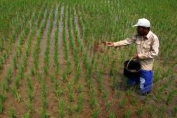 Petani di Cilacap Mulai Mengolah Tanah