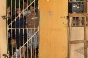 Pembunuh Sopir Serabutan Menyerahkan Diri
