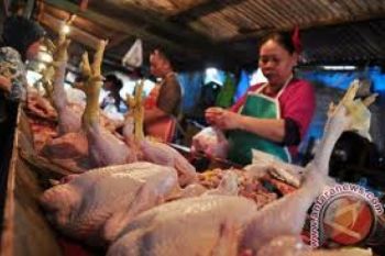 Daging Mahal, Warga Diimbau Konsumsi Daging Ayam