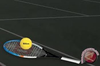 Ceko Incar Gelar Juara Piala Davis dan Fed