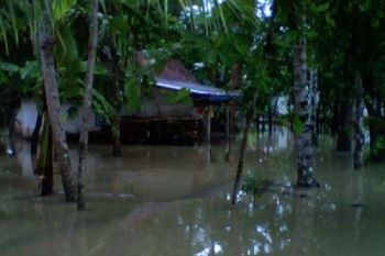Korban Banjir Bertahan di Pengungsian