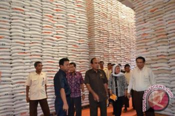 Bulog Sultra Serap 30.000 Ton Beras Petani 