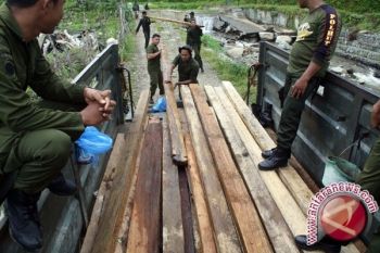 Pemprov Sulut fungsikan tim terpadu atasi illegal logging