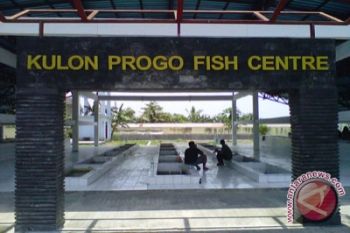 Pemkab dorong transaksi "Kulonprogo Fish Center" meningkat