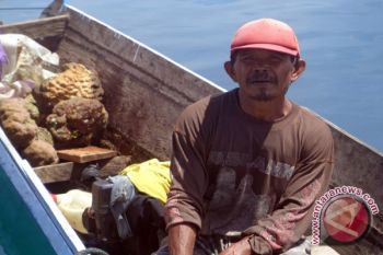 DKP Razia Penggalian Karang Untuk Bahan Bangunan di Banggai